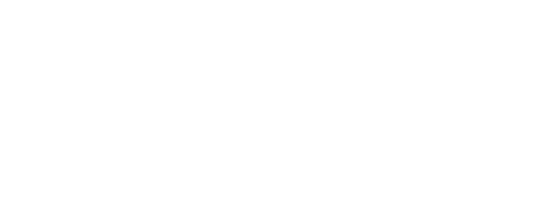 Logo_bianco_Davide Skipper